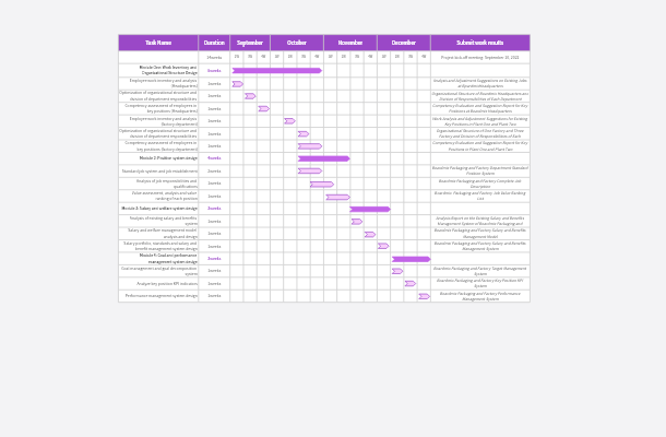 Management Consulting Project Gantt Chart