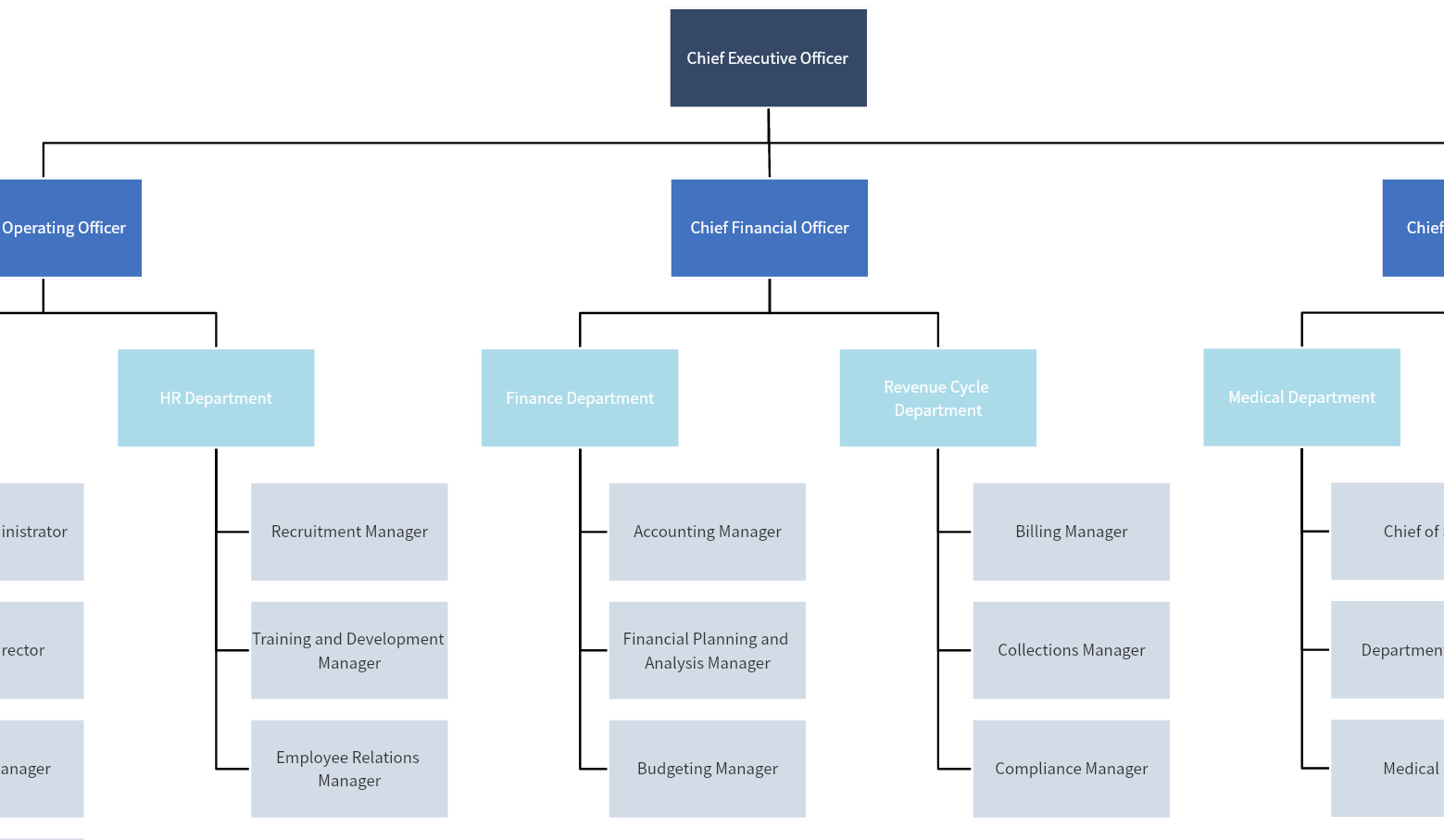 Hospital Organization Chart